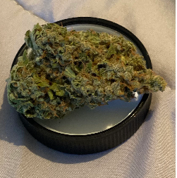 Lilac Diesel Marijuana Strain