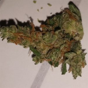 Lionheart Weed Strain