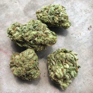 Malana Marijuana Strain