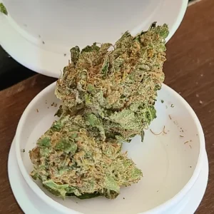 Mazar Kush Marijuana Strain