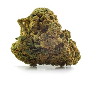 Moby Dick Marijuana Strain