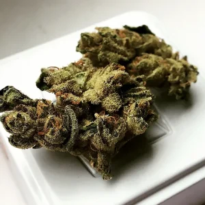 Moonbeam Weed Strain