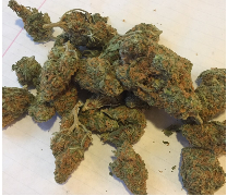 Orange Bud Marijuana Strain