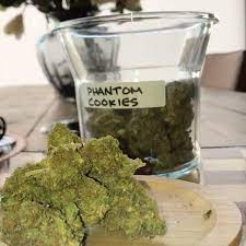 Phantom Cookies Weed Strain