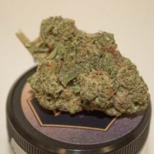 Pine OG Weed Strain