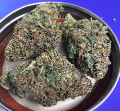 Purple Sour Diesel Weed Strain