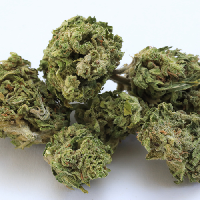 Romulan Marijuana Strain