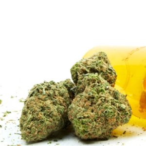 Shadow Dancer Weed Strain