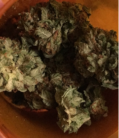 Skunk 47 Marijuana Strain
