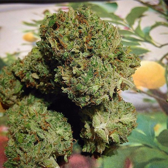 Stardawg Marijuana Strain