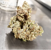 Superglue OG Cannabis Strain