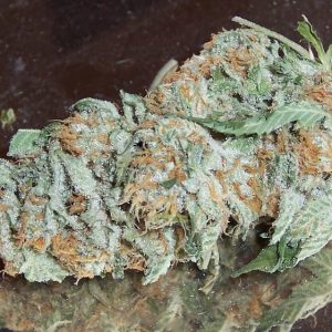 White Russian Weed Strain