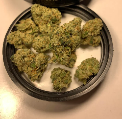 Dready Kush Weed Strain