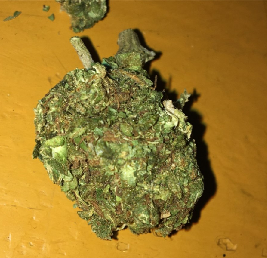 Ace of Spades Cannabis Strain
