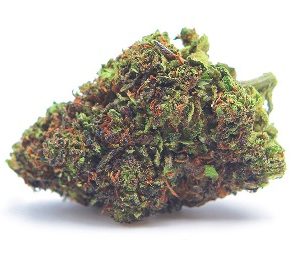 Goliath Delta 8 Flower