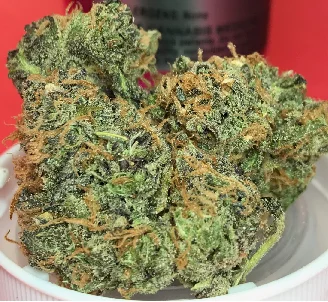 9 Pound Hammer Weed Strain