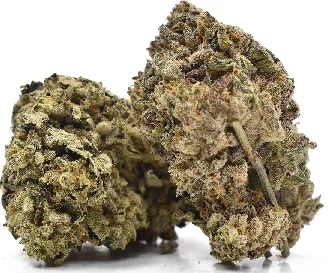 Rose Gold Runtz Weed Strain