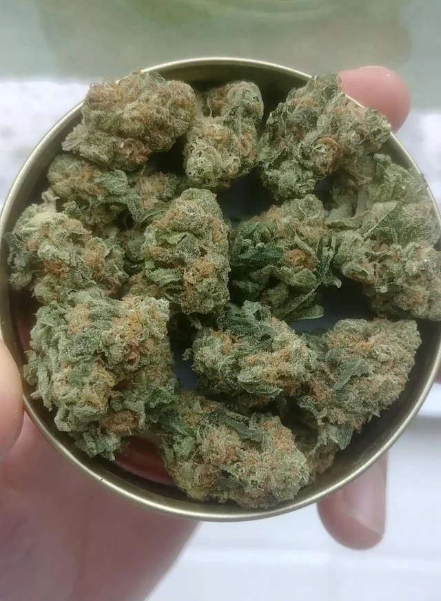 Mystery Haze Weed Strain
