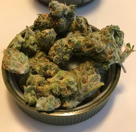 Princess Leia Marijuana Strain