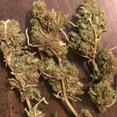 Reggie Marijuana Strain