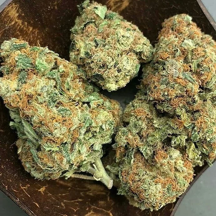 Royal Dream Weed Strain