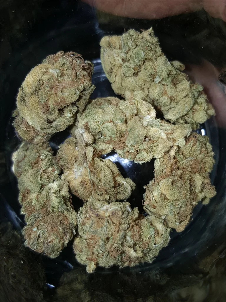 Siam Delight Marijuana Strain