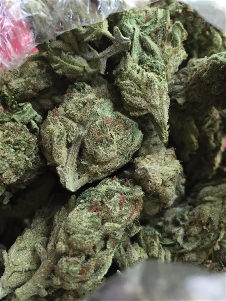 Sourlope Weed Strain