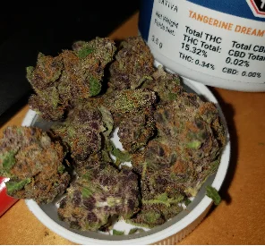 Tangerine Dream Weed Strain