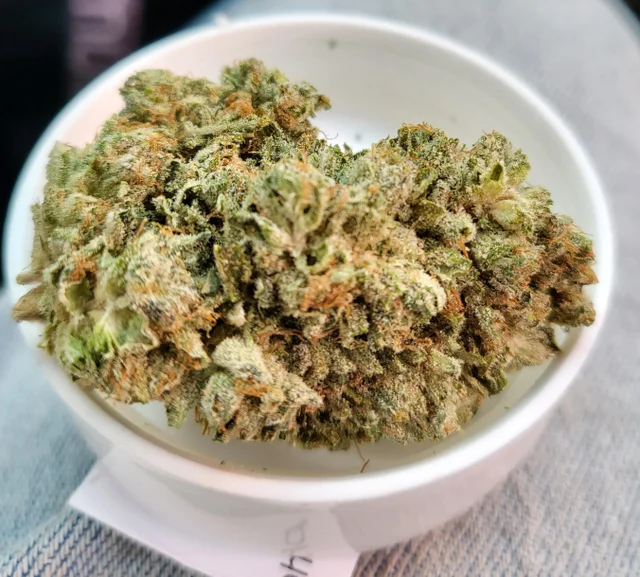 Vanilla Kush Marijuana Strain