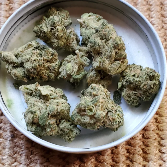 Walkabout Weed Strain
