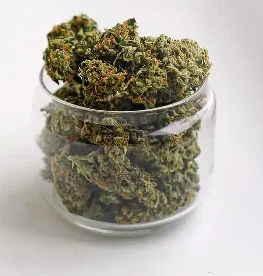 Zookies Marijuana Strain