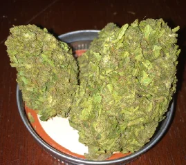 Kish Marijuana Strain