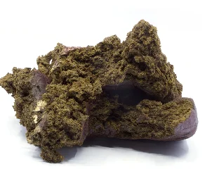 Top Gun Import Hash